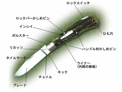 カスタムナイフの基礎 | Japan knife guild